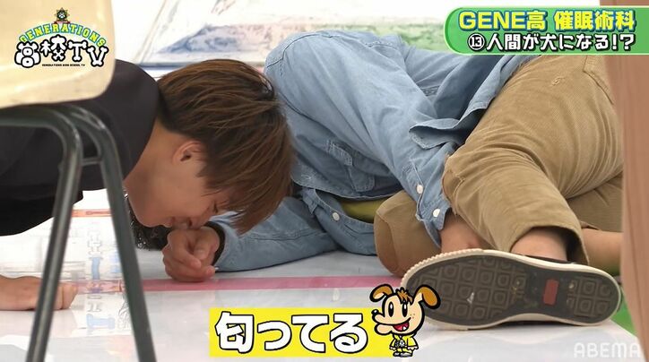 衝撃映像！白濱亜嵐＆数原龍友が犬に、小森隼は猫に！催眠術にかかりスタジオ騒然…