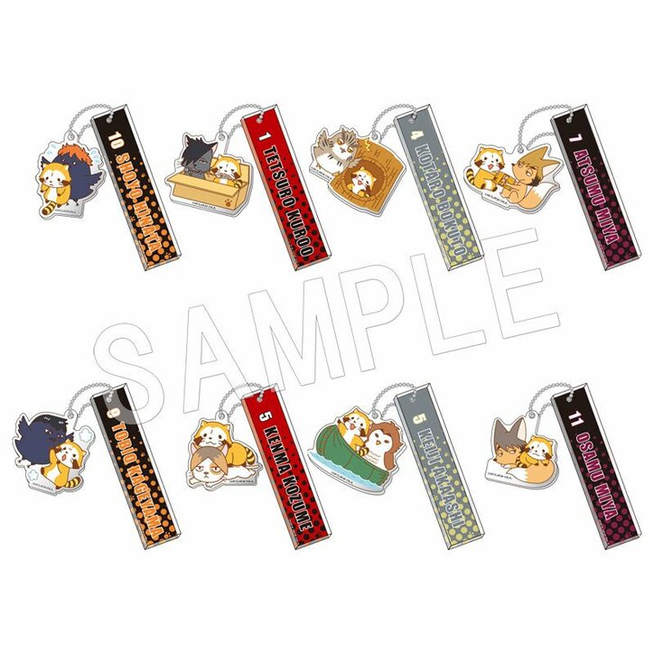 アニメ「ハイキュー!!」×「あらいぐまラスカル」コラボグッズ5点発売決定！ストラップ・メモセットなど予約開始