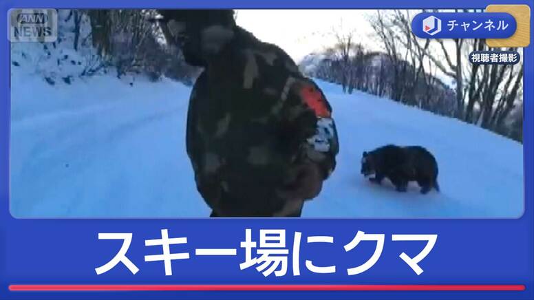 長野のスキー場にクマ“緊迫の一部始終”