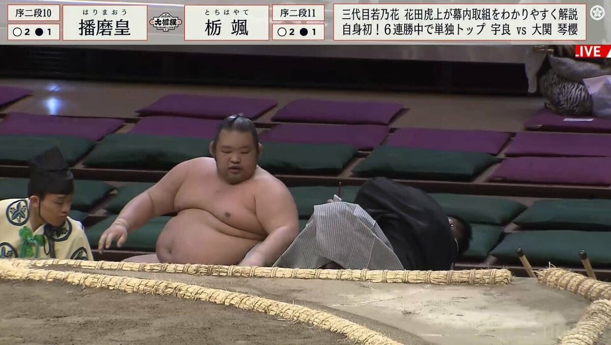 軽トラにぶつかるくらい」土俵下に落下してくる力士を避けられず親方