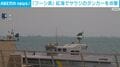「フーシ派」 紅海でサウジのタンカーを攻撃