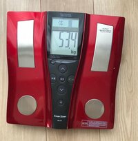 はあちゅう『産後11日目の体重』