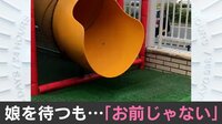 【映像】衝撃のシュール映像