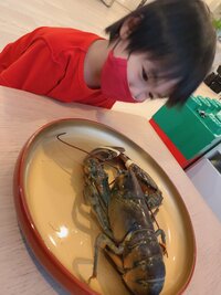 アレクサンダー『ロブスターは割高‼️』