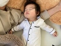 しょうくん『こうして我が家に平和が』