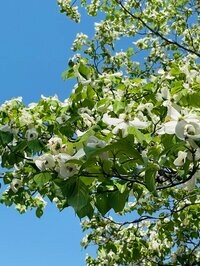 小泉貴之『目頭が熱くなった主治医の言葉』