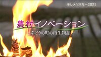 農村イノベーション～ぶどうの町の再生物語～