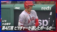【映像】大谷、漫画のような珍事に面白リアクション