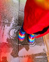 平野ノラ『雨でも』