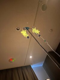 市川海老蔵『いま』