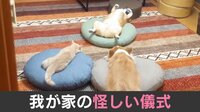 【映像】“怪しい儀式”の様子