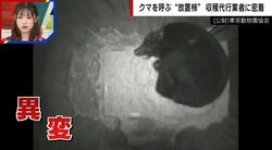 カメラが捉えた…クマが冬眠する様子 11月には冬眠するはずが“異例の事態”