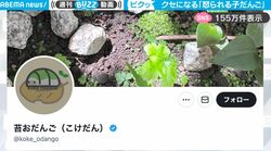 「定期的に見返したくなる」ダンゴムシ同士の“不思議な触れ合い”を映した動画に反響「ダンゴムシが怒るところを初めて見た」