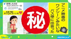 満開の桜が美しい! バス停の写真に「青春映画のロケ地みたい」「通学する子は幸せね」魅了される人続出
