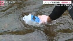 “山レジャー”本格化 課題はクマとの遭遇回避 注目の最新研究とは？