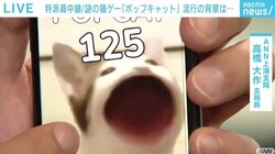 クリックするとネコの口が開くだけの謎ゲー『POPCAT』が世界で流行 ランキング上位の“アジア3国”に見える共通点