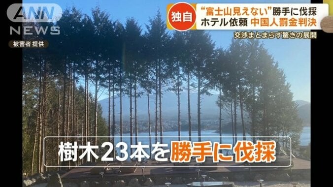 樹木23本を勝手に伐採