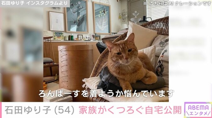 【写真・画像】石田ゆり子、愛猫がくつろぐ自宅の一室を公開　1枚目