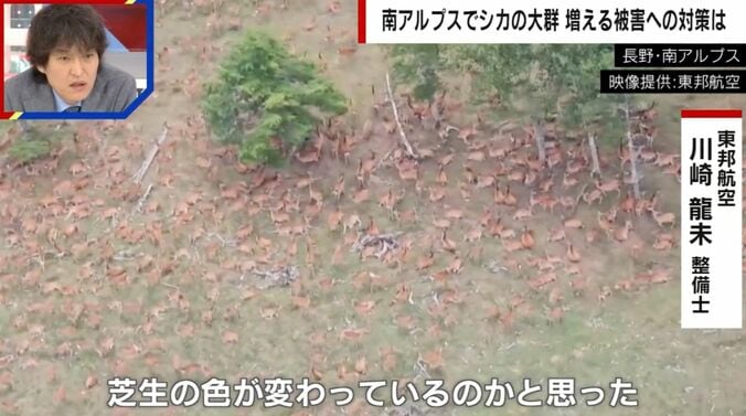 長野・南アルプス（提供：東邦航空）