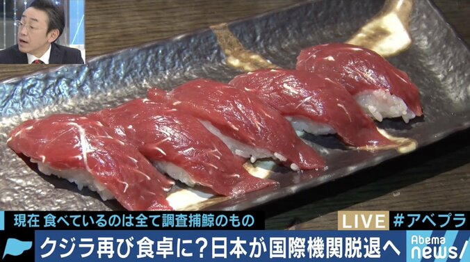 クジラ肉は本当に必要？老人のノスタルジー？IWCを脱退して商業捕獲再開を目指す日本政府の思惑は 1枚目