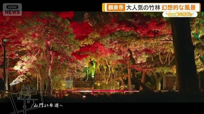 ライトアップイベントも