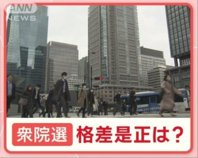 衆院選争点  30年で物価上昇・所得減…正規・非正規の格差どうする 1枚目