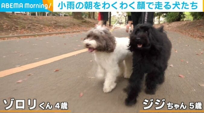 ゾロリくんとジジちゃん