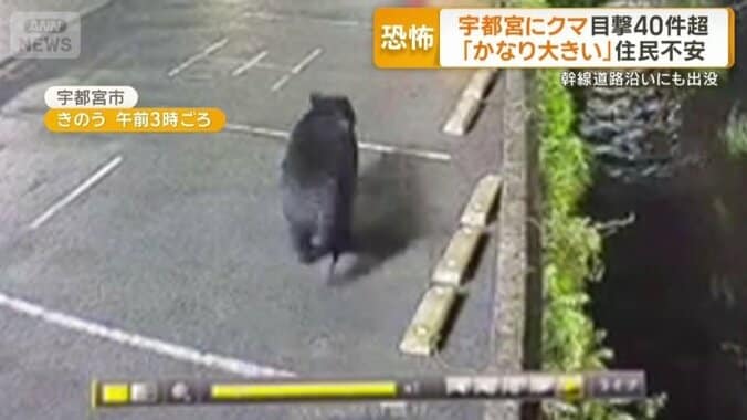 宇都宮市中央卸売市場の近く