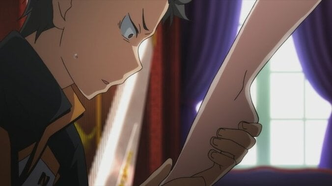 アニメ「Re:ゼロから始める異世界生活」レムとロズワールの屋敷へ向かうスバル…新編集版16話＆17話先行カット解禁 1枚目