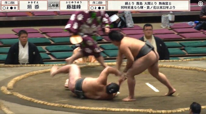 「これ、ええんか?」大型新人力士の“腰回り”が異質の存在感 逞しい風貌とスタイルにも「いいボディしてる」ファン熱視線 4枚目