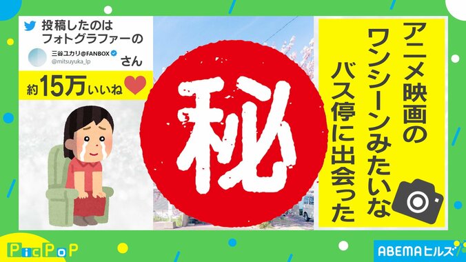 満開の桜が美しい! バス停の写真に「青春映画のロケ地みたい」「通学する子は幸せね」魅了される人続出 1枚目