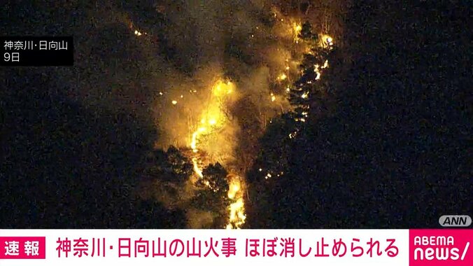 日向山の山火事
