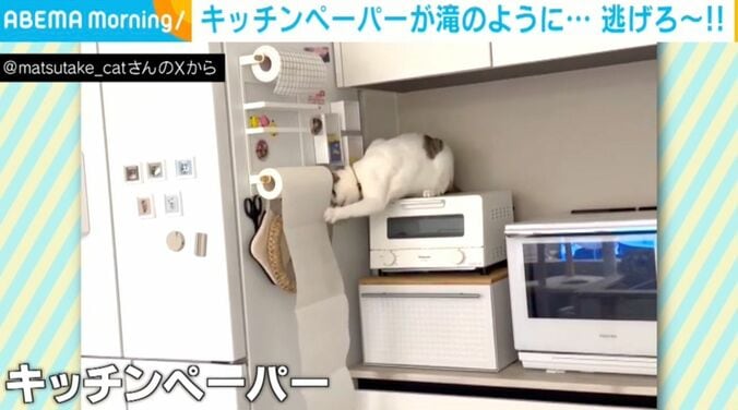 ネコのおでんくん