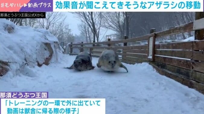 笑子ちゃんとみなとくん