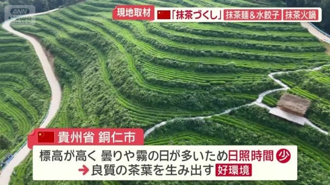 良質の茶葉を生み出す自然環境がそろった地