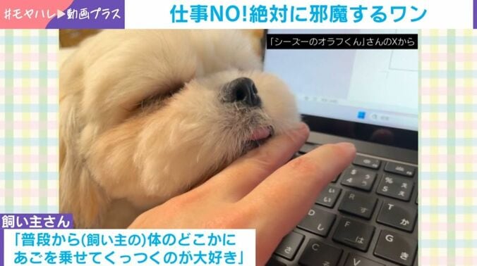オラフくん