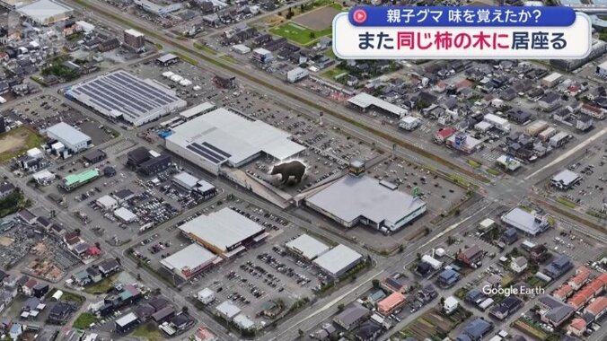 盛岡市の商業施設の駐車場に…