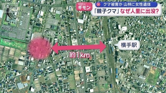 JR横手駅から1キロほどの中心部