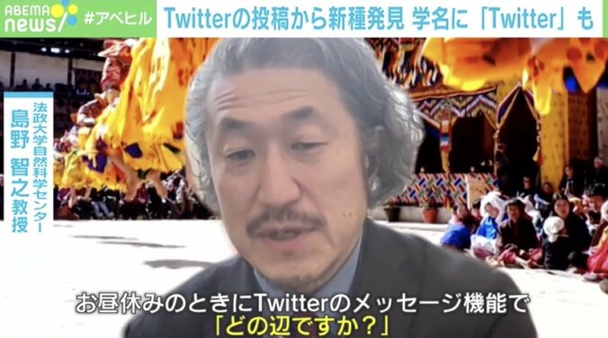 Twitterのやり取りだけで“新種発見”「電話番号を聞くのもはばかられた…」 学名にも“Twitter”の単語 1枚目