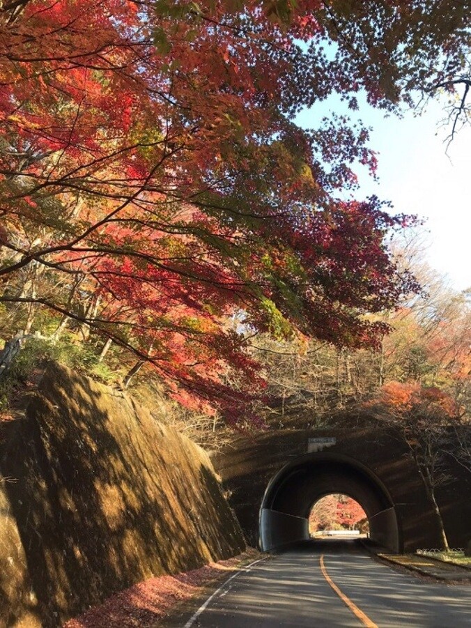  広田レオナ、相変わらず悩まされている新型コロナの後遺症「喘息の咳の酷いこと…」  1枚目