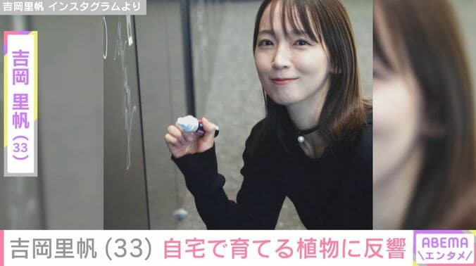 吉岡里帆