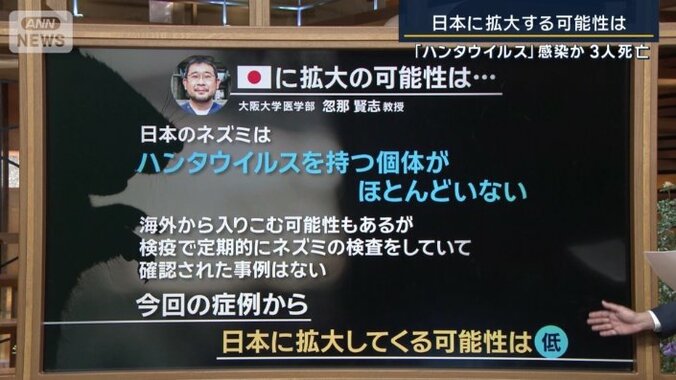拡大の可能性