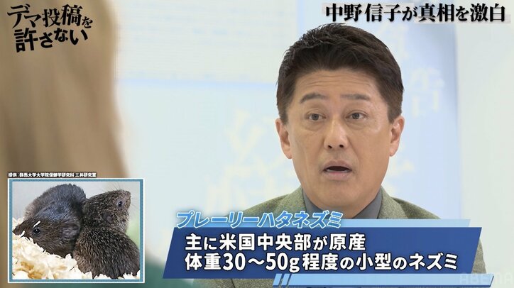 不倫しやすい人の脳の特徴を脳科学者が解説「目先の欲に目が眩む人は大脳新皮質が厚い」