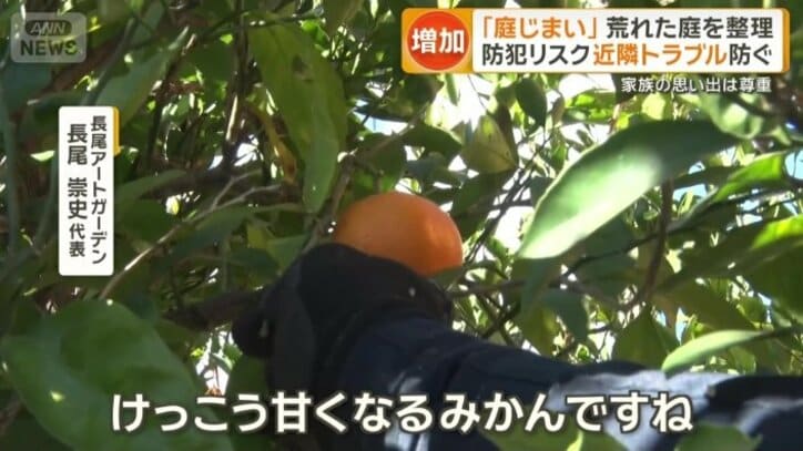 伐採ではなく剪定にとどめられた木