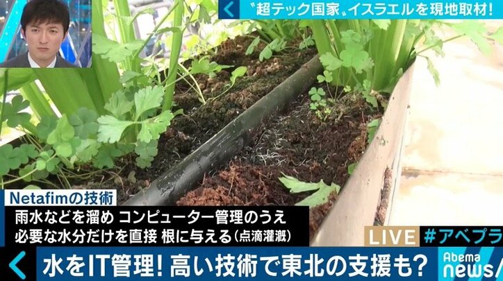 自動運転、農業、メディア…世界が注目するイスラエル発の最新テクノロジーを現地取材