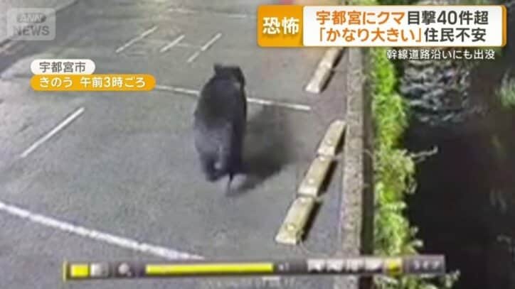 宇都宮市中央卸売市場の近く