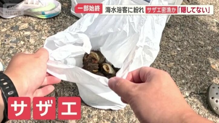 クーラーボックスの中からサザエが…