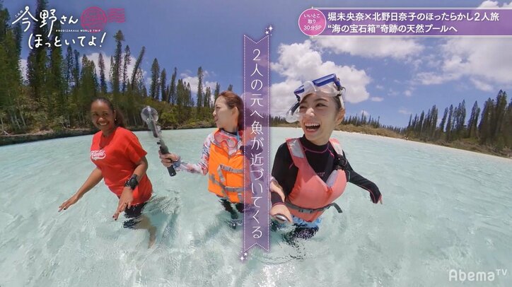 堀未央奈、海中で魚に怯えプチパニックに…対抗策として選んだ乗り物は“最強の海の生き物”