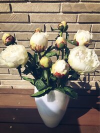 稲垣吾郎『幸せな結婚』