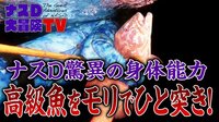 【映像】ナスD大冒険TV - 無人島編 - 3日目